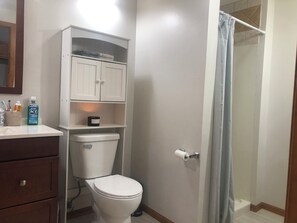 Shower, hair dryer, towels, soap - Lovely Historic Loft Downtown in East Village! (Des Moines)