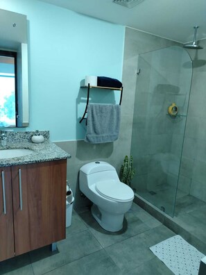 Séchoir à cheveux, serviettes fournies, savon, papier de toilette