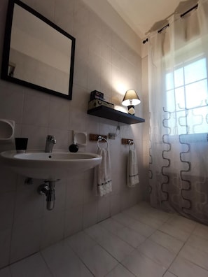 Shower, hair dryer, towels