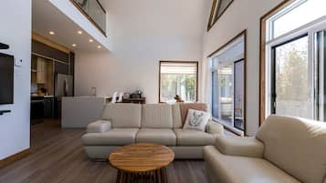 TV, fireplace, foosball, table tennis