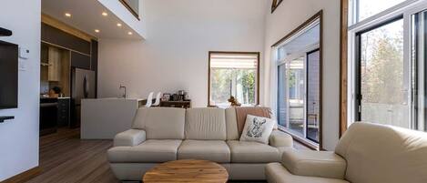 TV, fireplace, foosball, table tennis