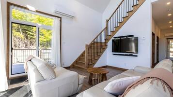 TV, fireplace, foosball, table tennis