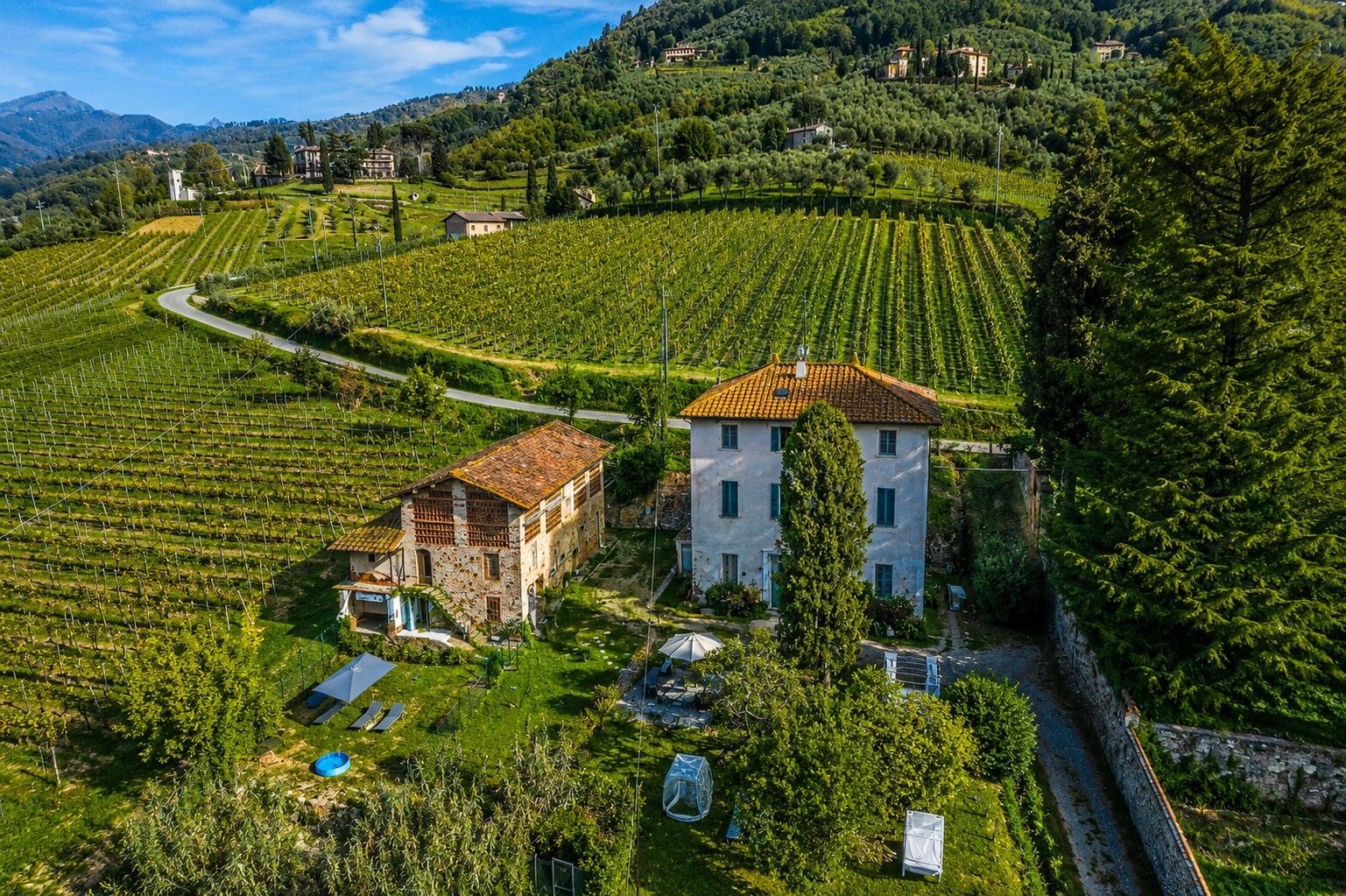 A vineyard with terraced fields, a stone building, and a modern house with a red roof.