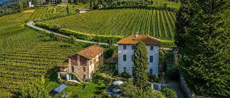 A vineyard with terraced fields, a stone building, and a modern house with a red roof.