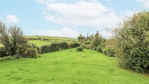A lush green field with a stone wall and dense shrubbery on one side, and a clear blue sky above. - Harbour Lights (Holyhead)