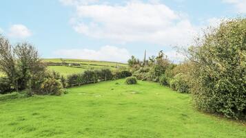 Àrea exterior de l'allotjament