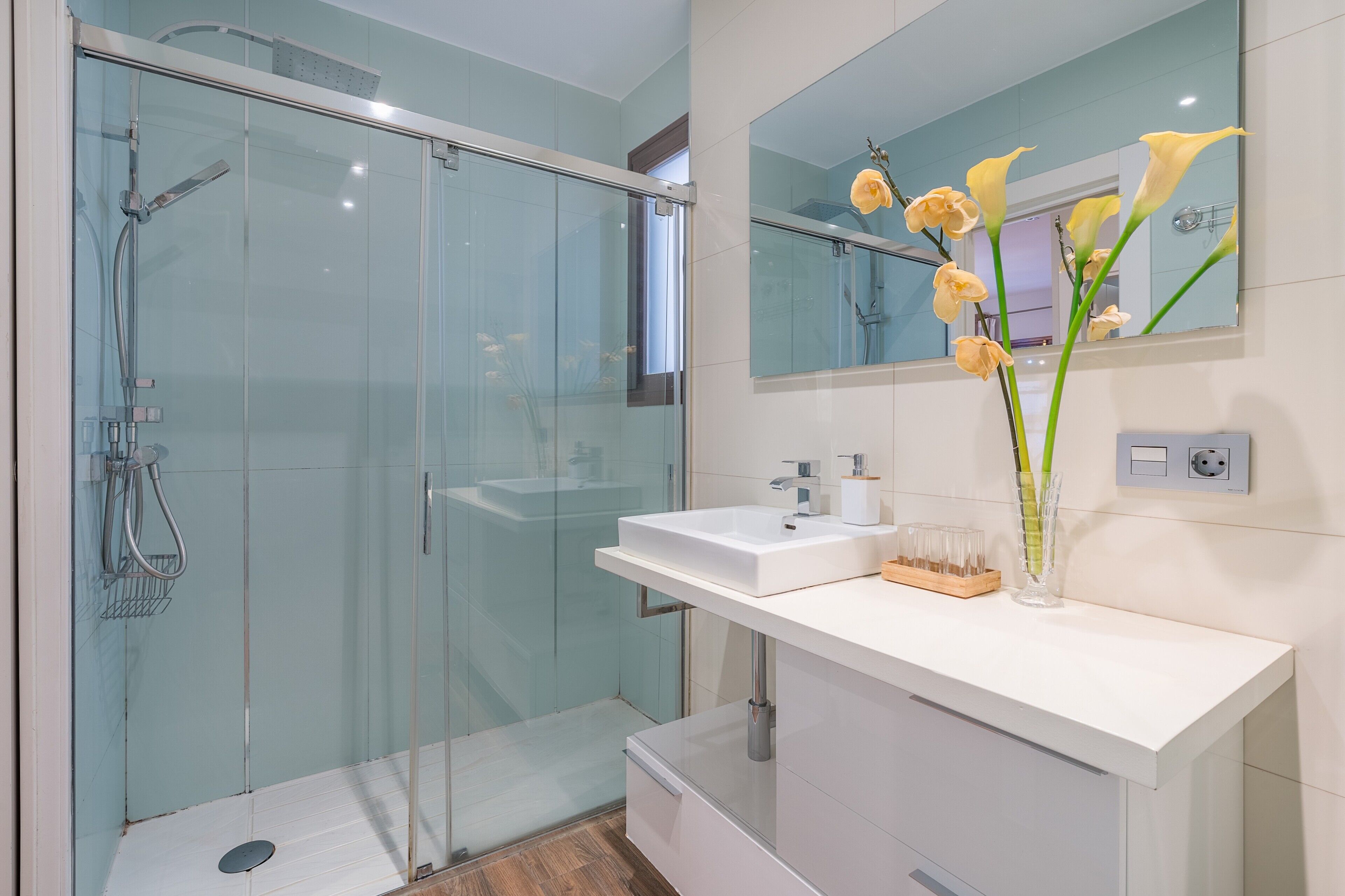 Shower, hair dryer, towels