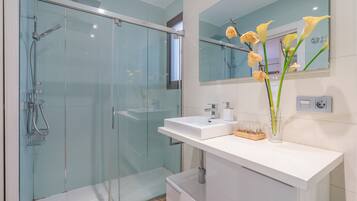 Shower, hair dryer, towels
