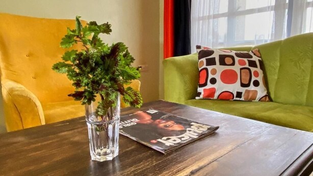 Ein Wohnzimmer mit Couchtisch aus Holz, einem grünen Sofa mit gemusterten Kissen und einer Zimmerpflanze.