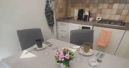 Cozy one-bedroom apartment in the heart of Cuneo perfect for any business.