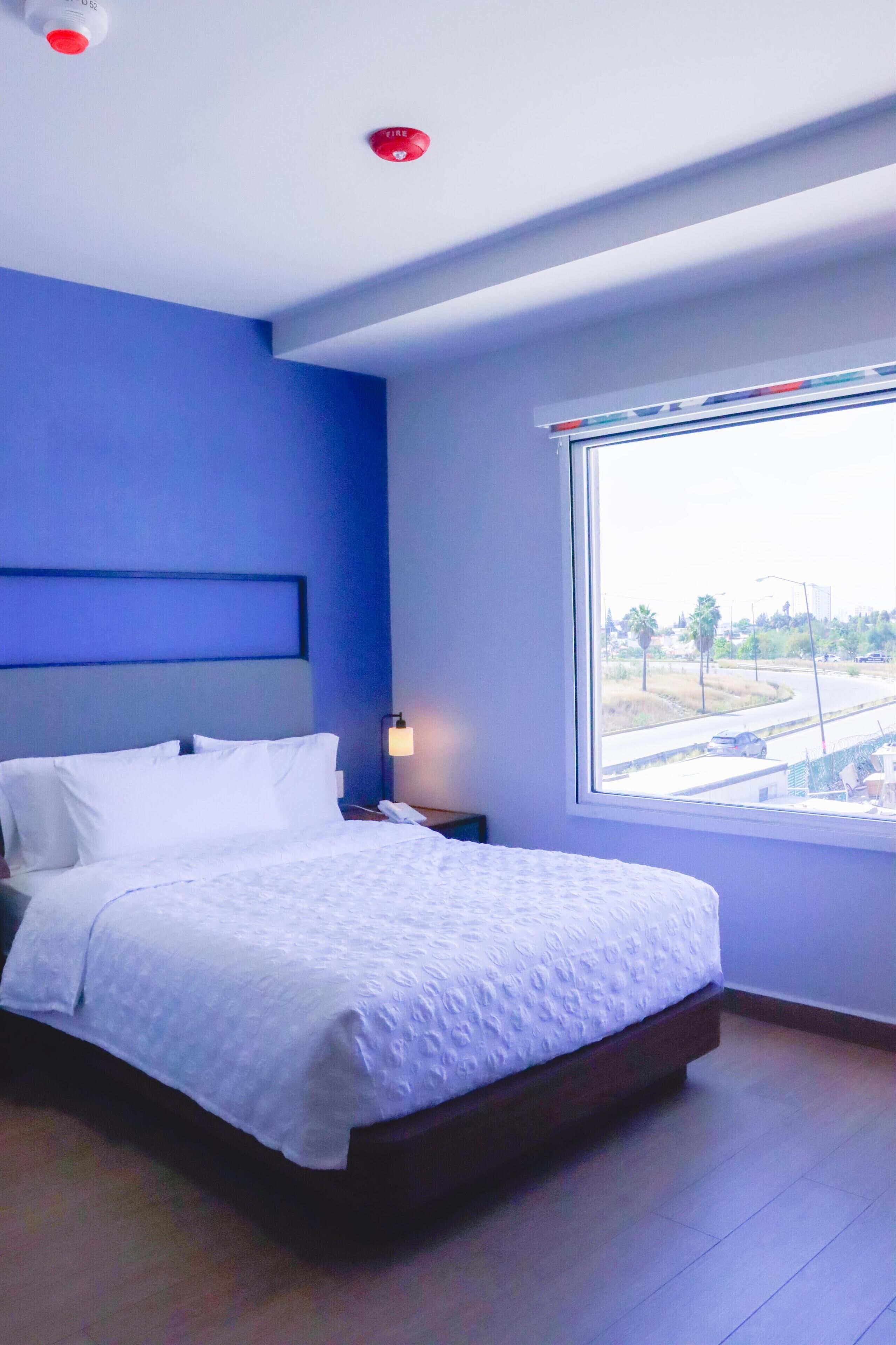 A modern hotel room with a large bed, a nightstand, a wall-mounted lamp, and a window with a view of a road and palm trees.