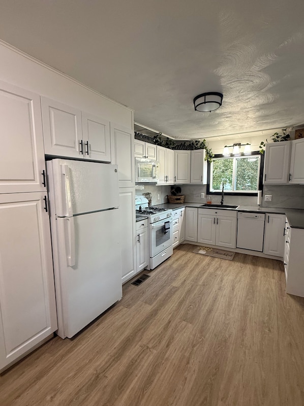 Microwave, oven, stovetop, dishwasher