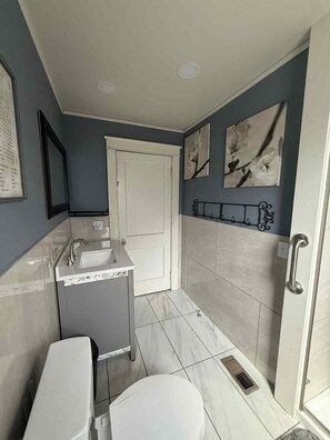 Shower, towels, toilet paper