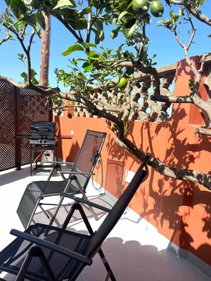 テラス / パティオ