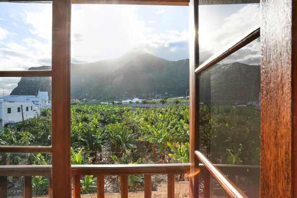 Immagine non classificata, 1 di 28, pulsante