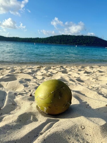 Quiet retreat 2-bedroom apartment with AC in charming Orange Valley, Couva