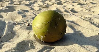 Quiet retreat 2-bedroom apartment with AC in charming Orange Valley, Couva