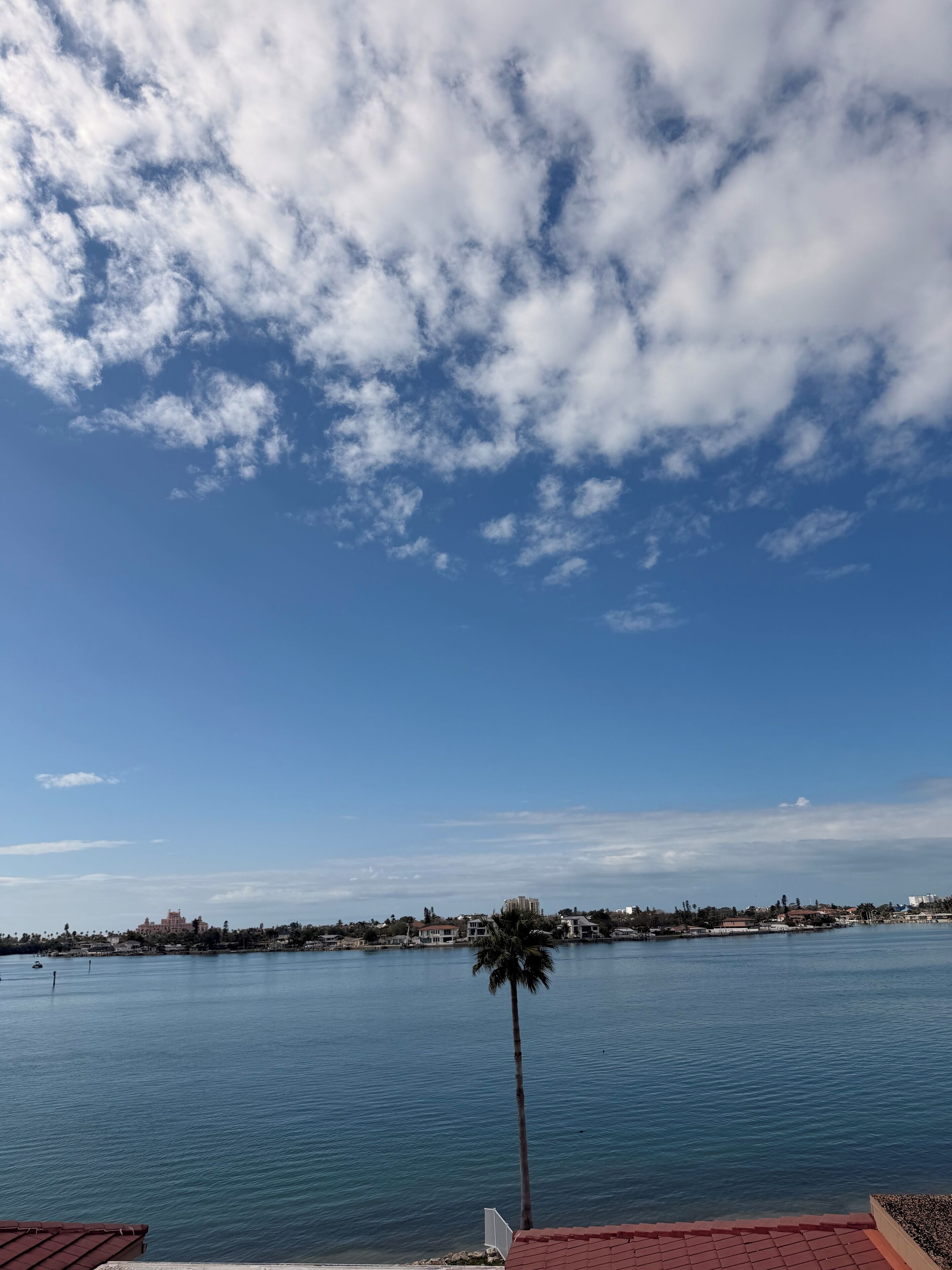 A coastal view with a clear sky, calm water, and a palm tree.