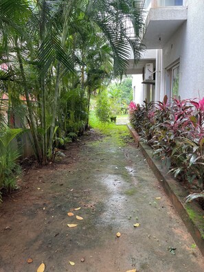 Un sendero bordeado de plantas y árboles conduce a un edificio de fachada blanca y una ventana visible.