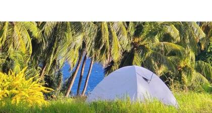 Camping Barbados - Activity Stay