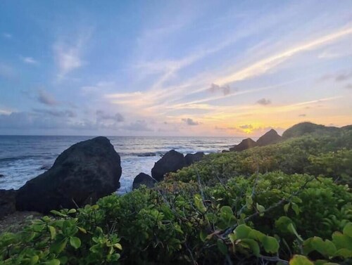 Camping Barbados #2 Bring Your Own Tent