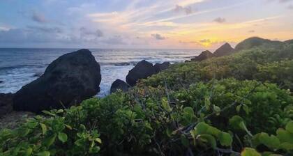 Camping Barbados #2 Bring Your Own Tent