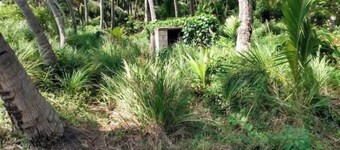 Camping Barbados #2 Bring Your Own Tent