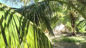 Enceinte de lâhĂ©bergement