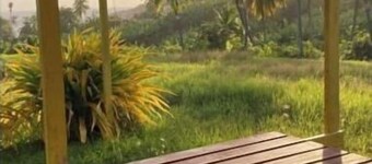 Camping Barbados #1 Bring Your Own Tent