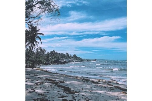 Camping Barbados - Bring Your Own Tent - Groups 2