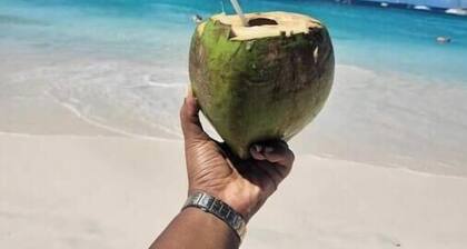 Camping Barbados - Group Dome Tents Private Camp