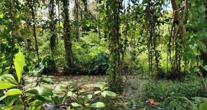 Camping Barbados - Bell Tent (3)
