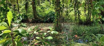 Camping Barbados - Bell Tent (3)