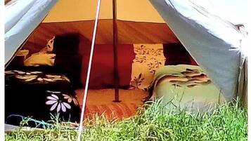 1 chambre, accĂšs Internet