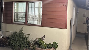 Um edifício com o número '1710' na fachada, uma janela com cortina e uma pessoa próxima à entrada.