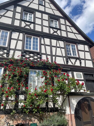 Apartment 'Scheffelhaus' mit WLAN