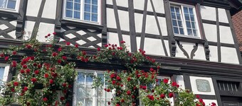 Apartment 'Scheffelhaus' with Wi-Fi