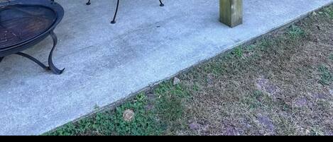 テラス / パティオ