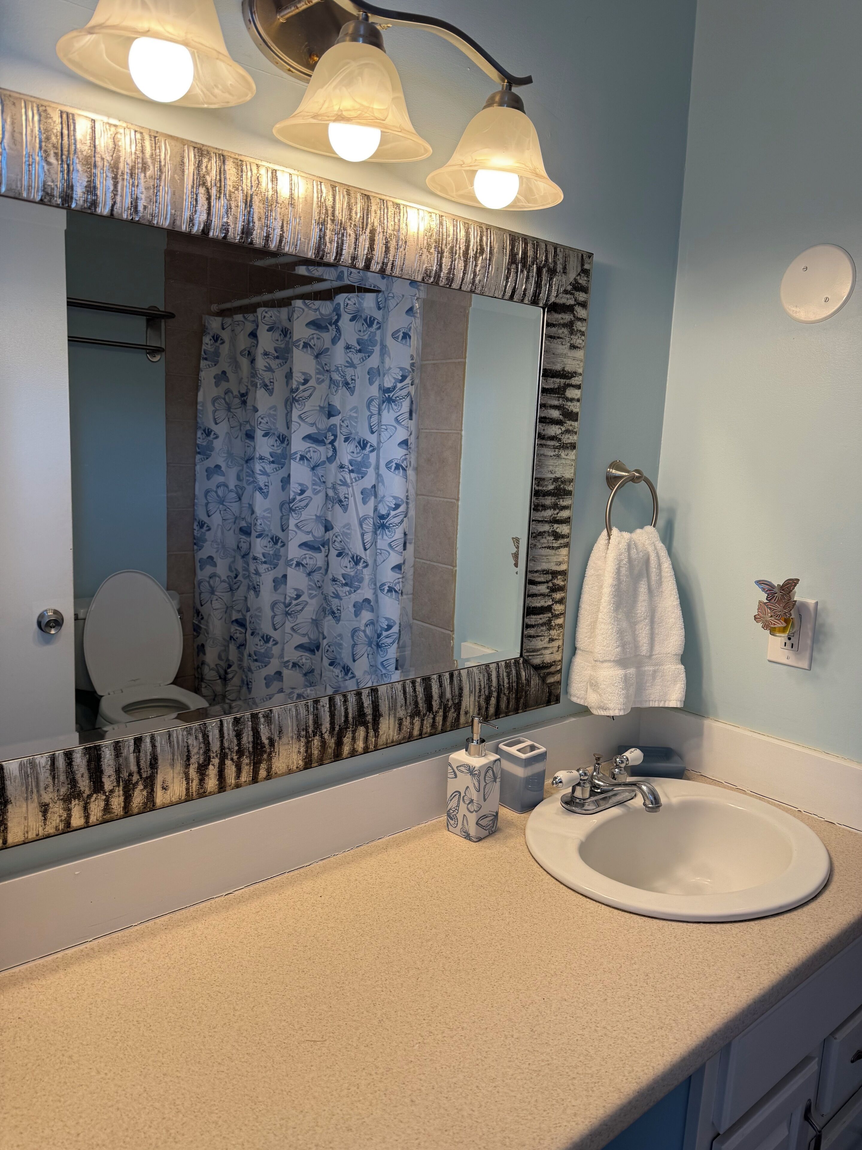 Hair dryer, towels, soap, toilet paper