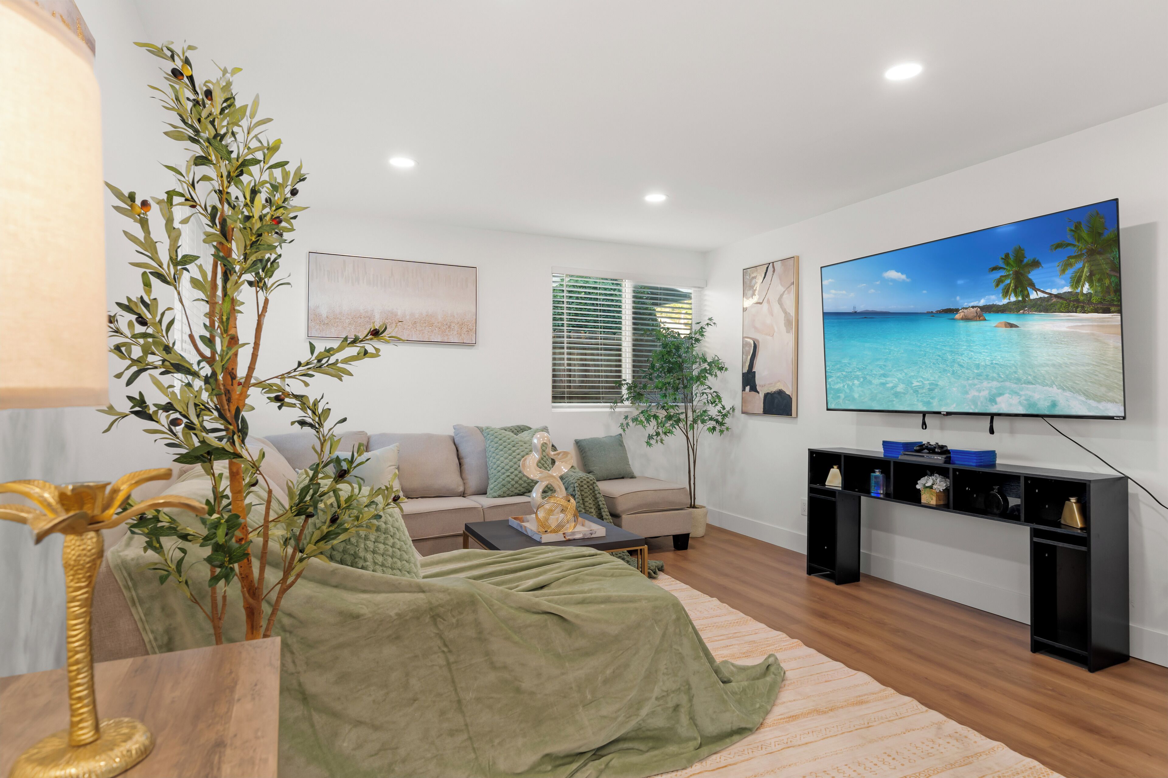 Smart TV, video games, books, music library