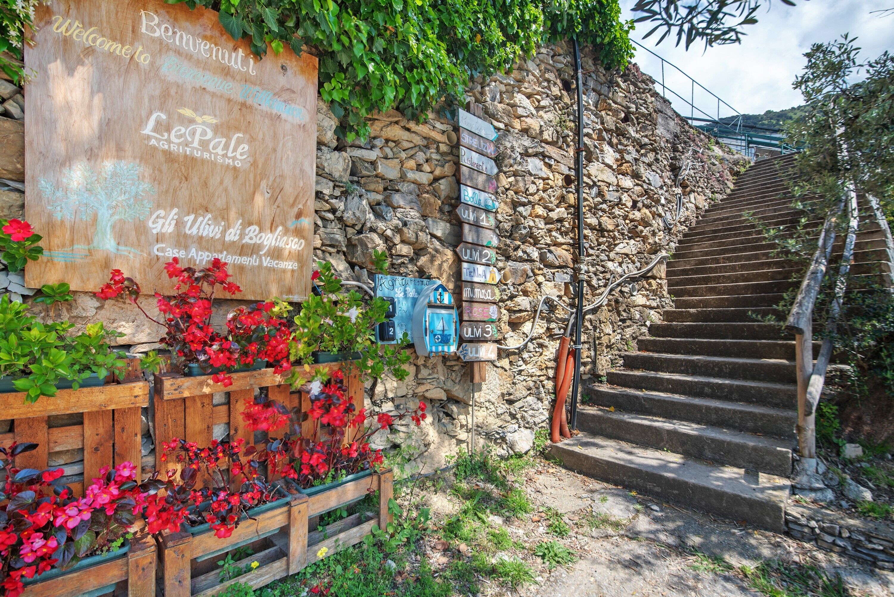 Parco della struttura