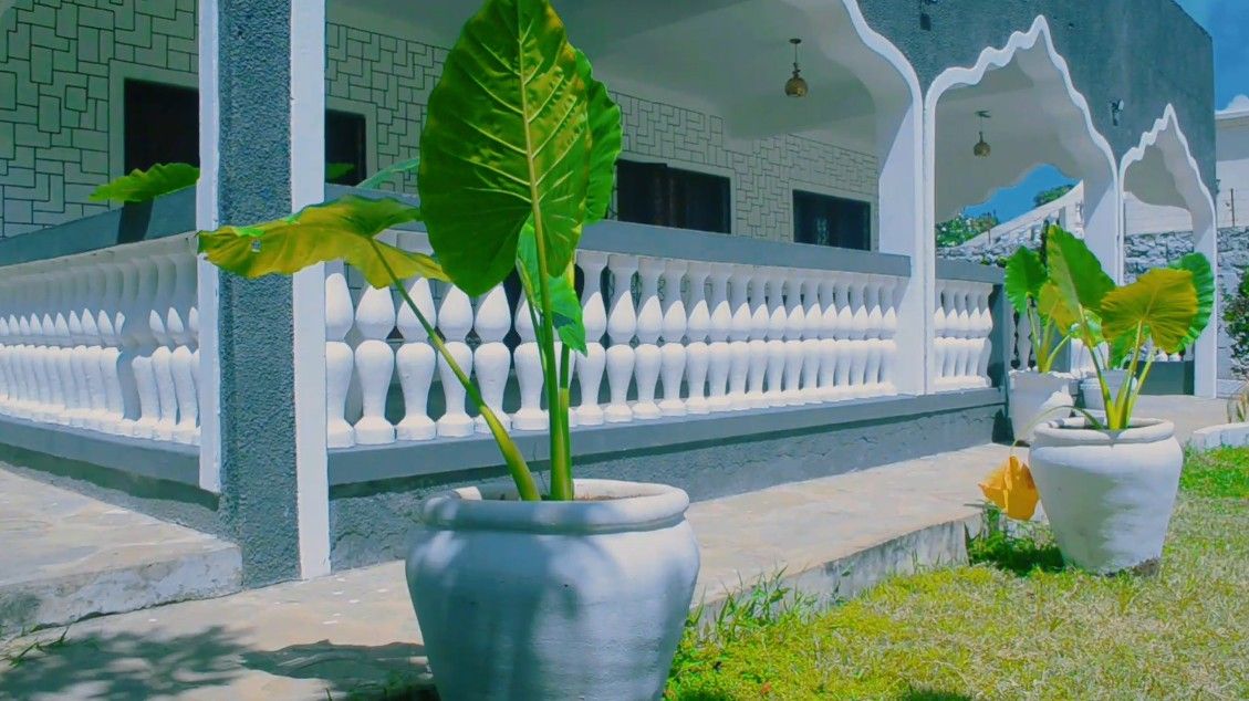 A building with a white exterior, a balcony with white balustrades, and potted plants with large green leaves.