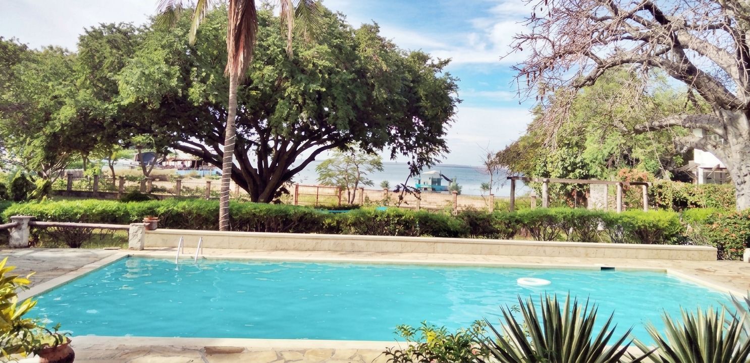 A rectangular swimming pool with a clear blue water surface, surrounded by a low stone wall, and a large tree in the background.