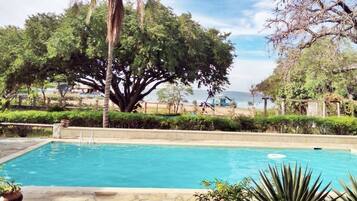 A rectangular swimming pool with a clear blue water surface, surrounded by a low stone wall, and a large tree in the background.