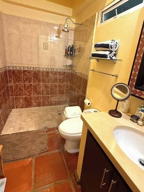 シャワー、ヘアドライヤー、タオル、石鹸