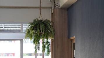 A hanging plant in a room with a window and a wooden wall.