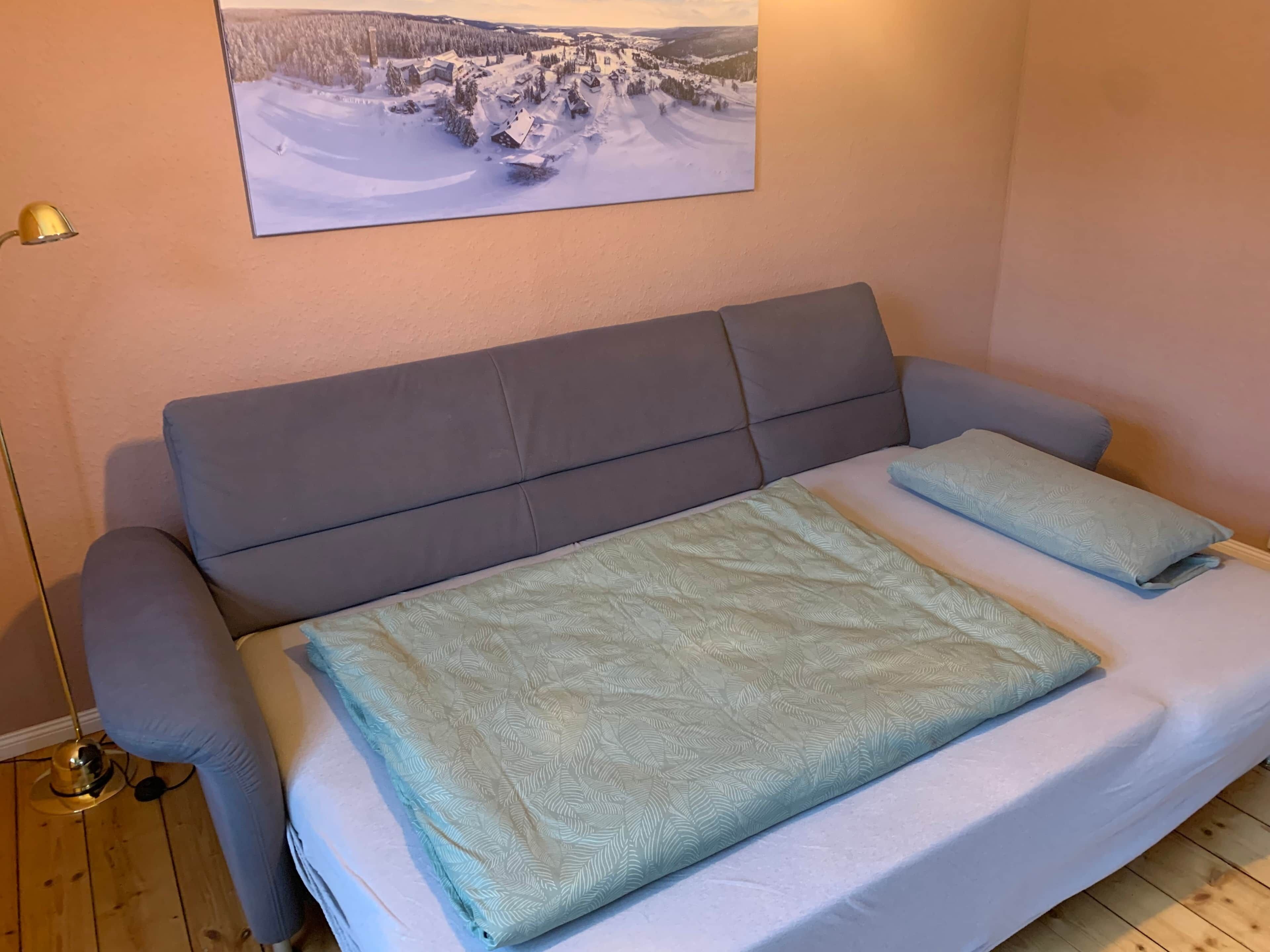 A room with a grey sofa bed, a light blue patterned blanket, and a framed picture of a snowy landscape on the wall.