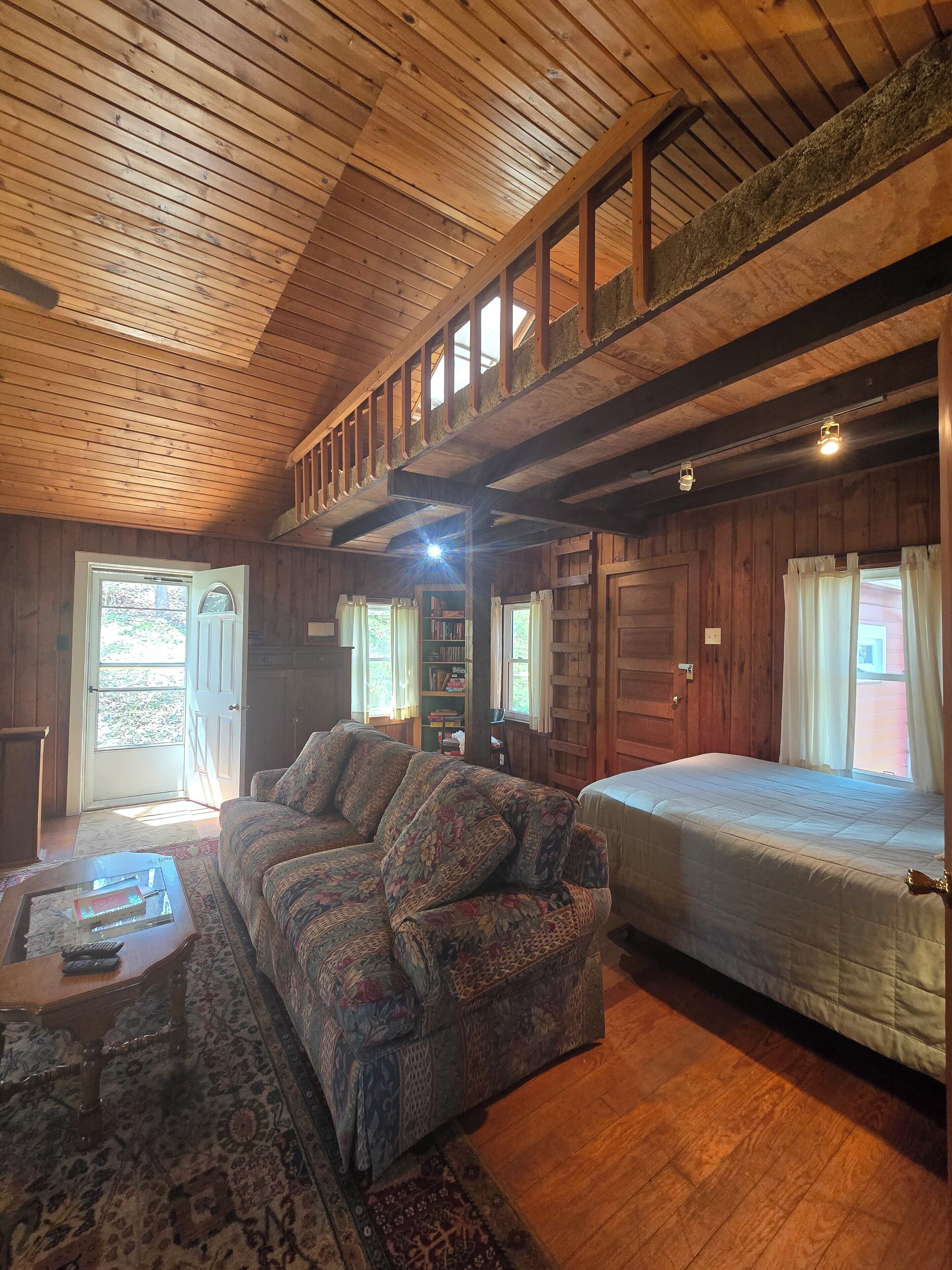 Smart TV, fireplace, DVD player, books