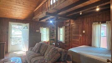 Smart TV, fireplace, DVD player, books