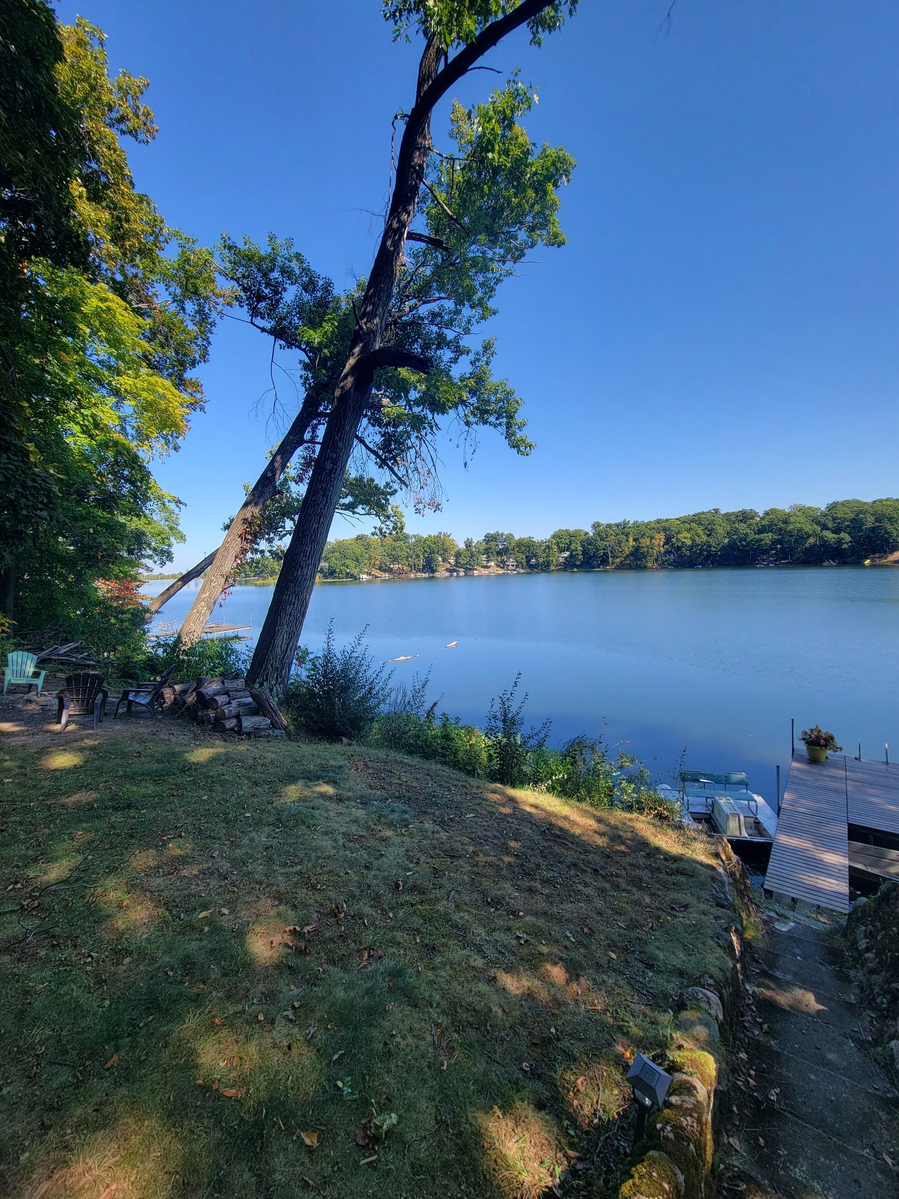 A lakeside view with a tree, chairs, and a dock.